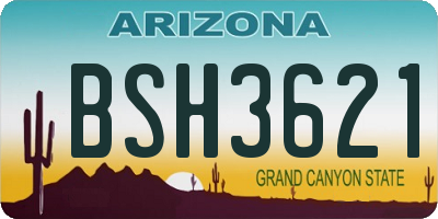 AZ license plate BSH3621