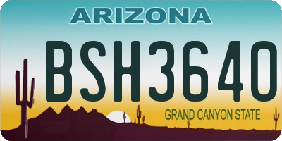 AZ license plate BSH3640