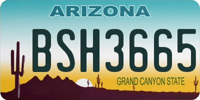 AZ license plate BSH3665