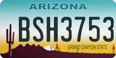 AZ license plate BSH3753