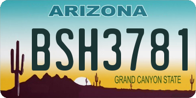 AZ license plate BSH3781