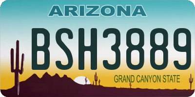 AZ license plate BSH3889