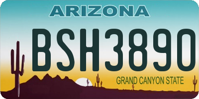 AZ license plate BSH3890