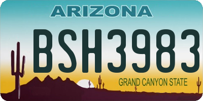 AZ license plate BSH3983