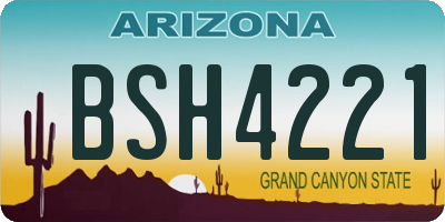 AZ license plate BSH4221