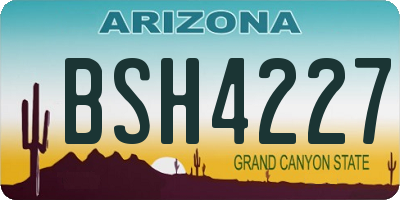AZ license plate BSH4227