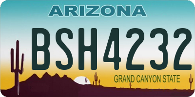 AZ license plate BSH4232