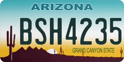 AZ license plate BSH4235