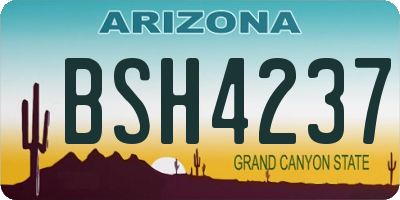 AZ license plate BSH4237