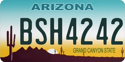 AZ license plate BSH4242