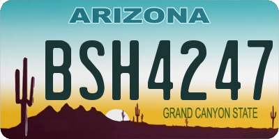 AZ license plate BSH4247