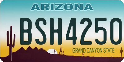 AZ license plate BSH4250