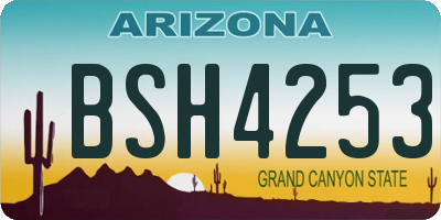 AZ license plate BSH4253