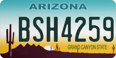 AZ license plate BSH4259