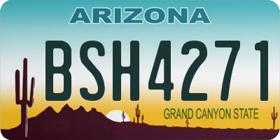 AZ license plate BSH4271