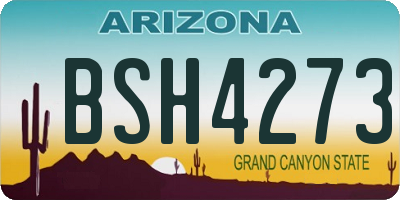 AZ license plate BSH4273