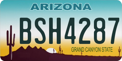 AZ license plate BSH4287