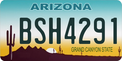 AZ license plate BSH4291