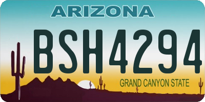 AZ license plate BSH4294