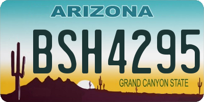 AZ license plate BSH4295
