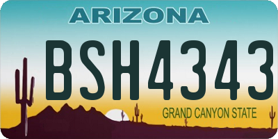 AZ license plate BSH4343