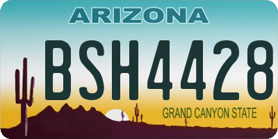 AZ license plate BSH4428