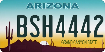 AZ license plate BSH4442