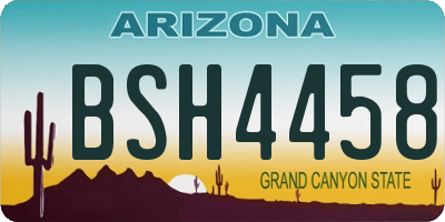 AZ license plate BSH4458