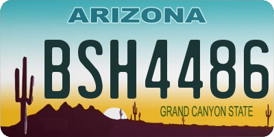 AZ license plate BSH4486