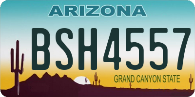 AZ license plate BSH4557