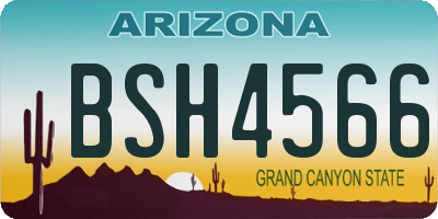 AZ license plate BSH4566