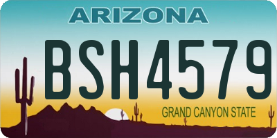 AZ license plate BSH4579