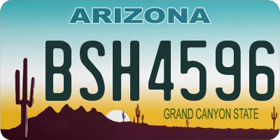 AZ license plate BSH4596