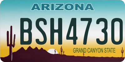 AZ license plate BSH4730