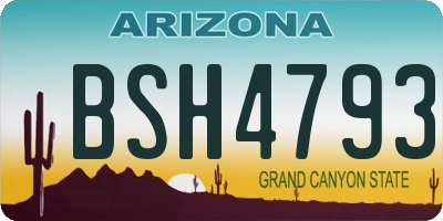 AZ license plate BSH4793