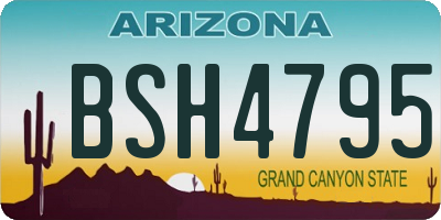 AZ license plate BSH4795
