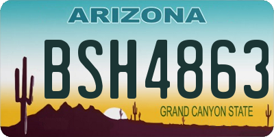 AZ license plate BSH4863