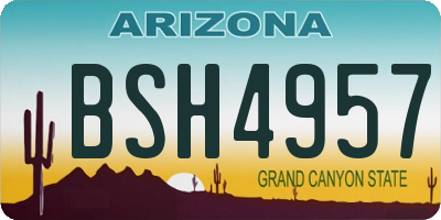 AZ license plate BSH4957