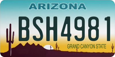 AZ license plate BSH4981