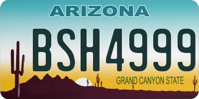 AZ license plate BSH4999