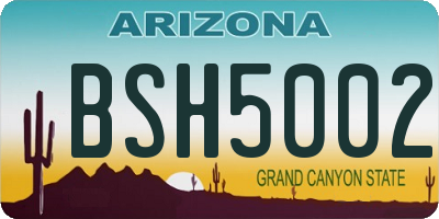 AZ license plate BSH5002