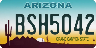 AZ license plate BSH5042