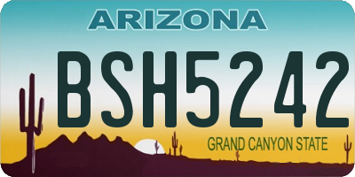 AZ license plate BSH5242