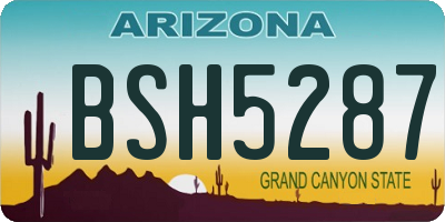 AZ license plate BSH5287