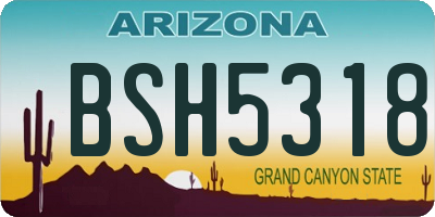 AZ license plate BSH5318