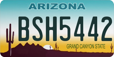 AZ license plate BSH5442