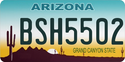 AZ license plate BSH5502