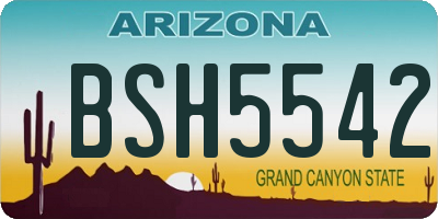 AZ license plate BSH5542