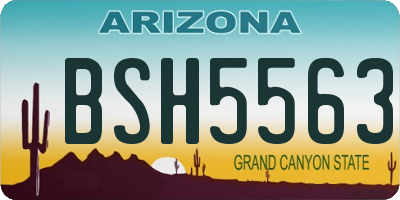 AZ license plate BSH5563