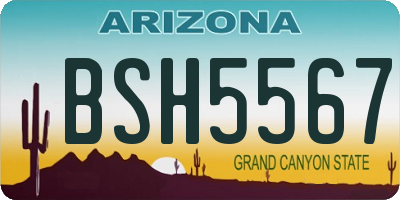 AZ license plate BSH5567